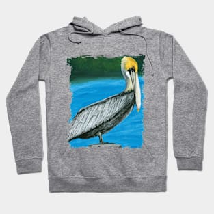 Pelican Hoodie